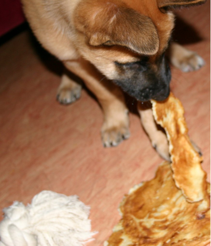 nog maals een foto van mijn lekkere pannekoek