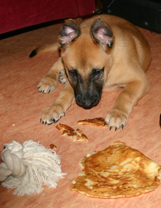 hier geniet ik van mijn pannekoek die ik eerlijk gejat heb