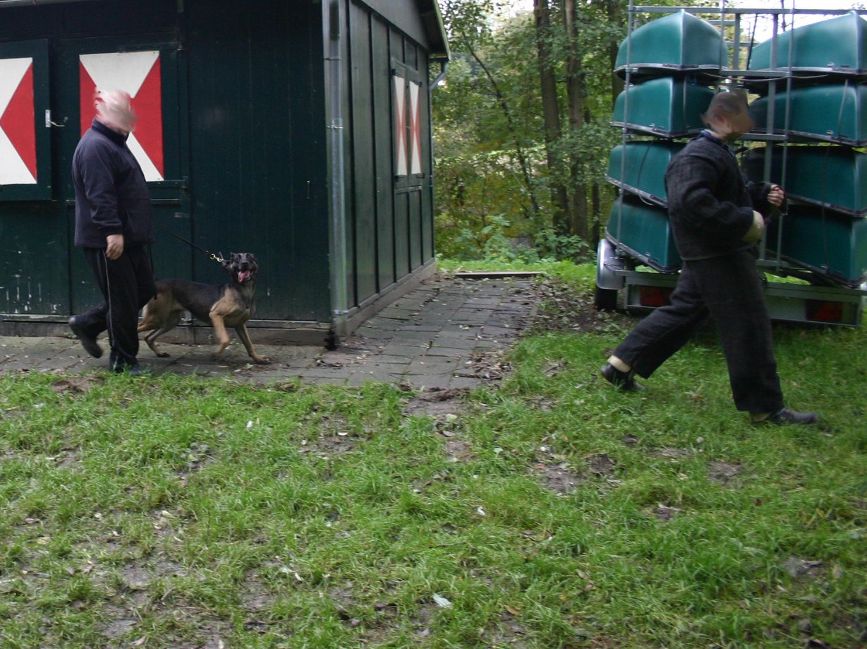 foto van transport lopen